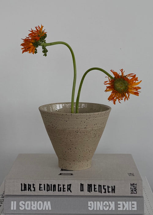 CONE BOWL RISING – m