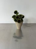 CONE BOWL RISING - xl
