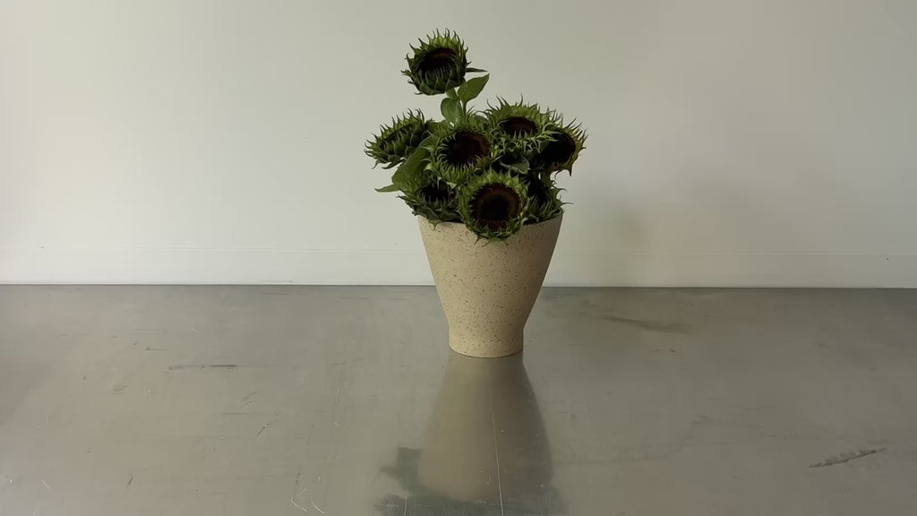 CONE BOWL RISING - xl